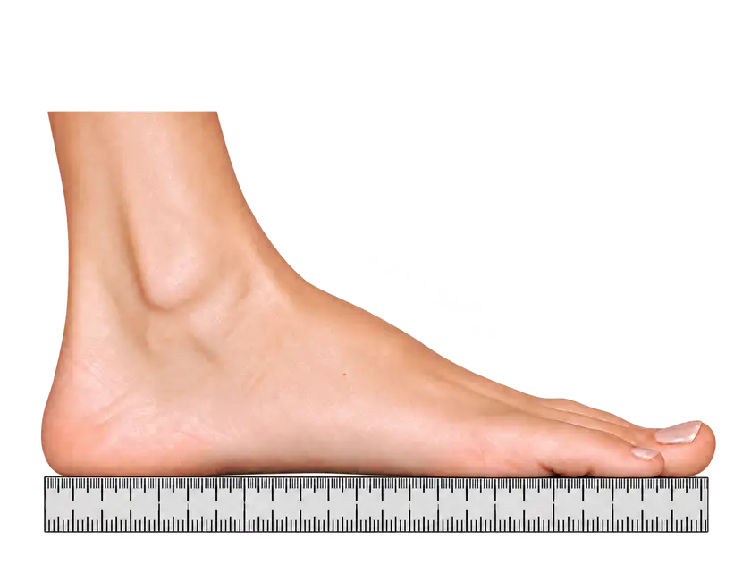 Foot length measurement